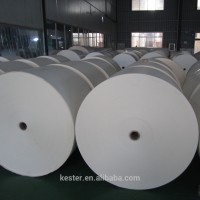 Blank PE Coated Paper for Cup