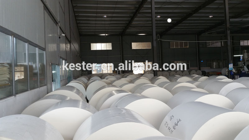 PE coated Paper mateiral