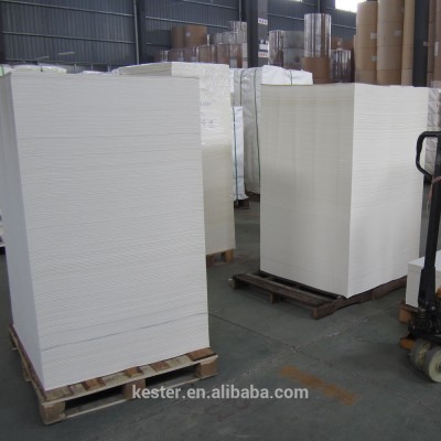 Waterproof PE coated paper cup paper in sheet