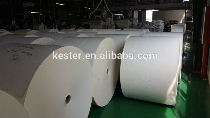 Jumbo roll Raw mateiral for cup